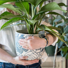 Load image into Gallery viewer, 4mm Multi Pearls - Gold